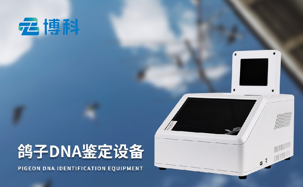 鸽子dna鉴定设备 鸽子dna鉴定设备