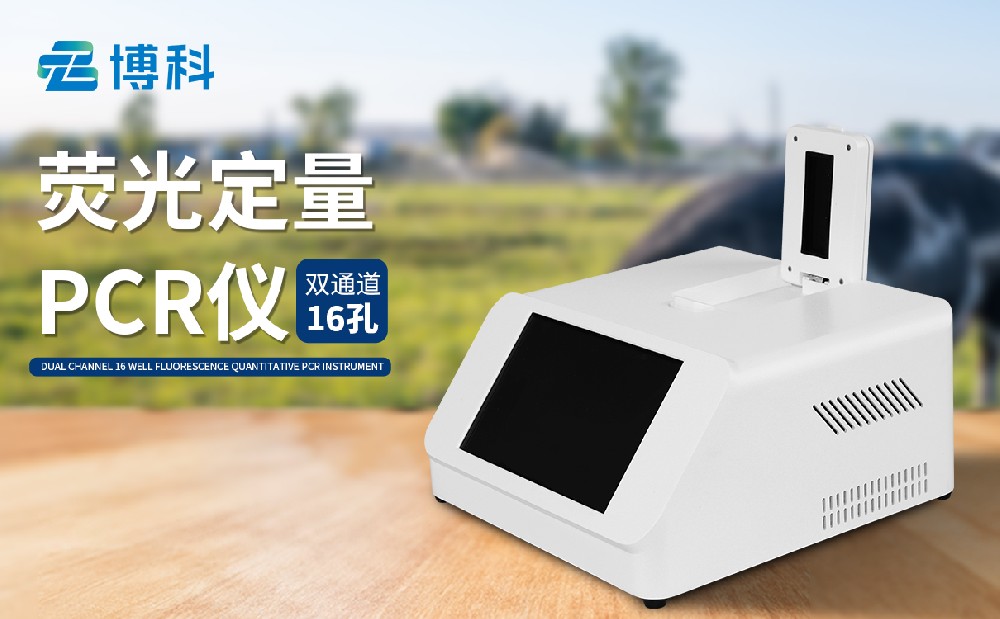 双通道非洲猪瘟检测仪 双通道非洲猪瘟检测仪