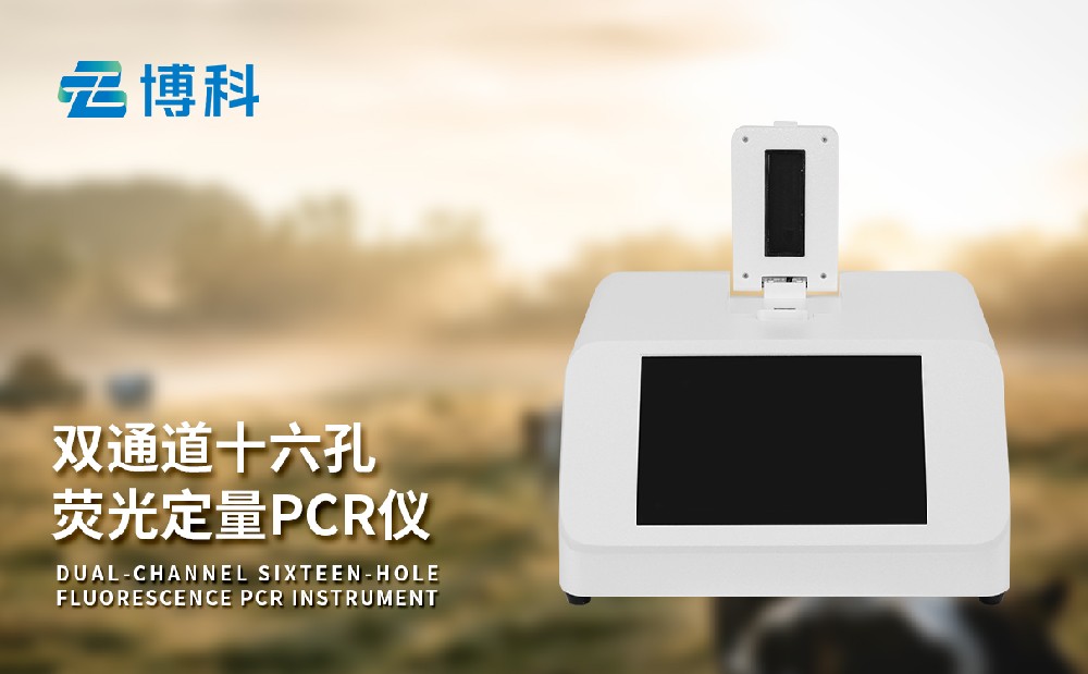 非洲猪瘟检测仪 非洲猪瘟检测仪